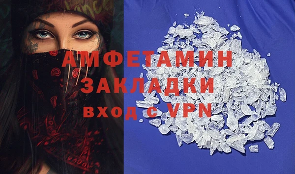 прущие грибы Майский