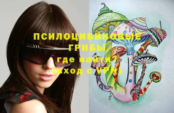 прущие грибы Майский