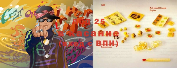 прущие грибы Майский