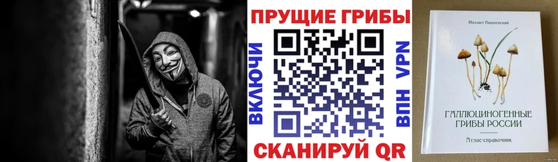 гидра онион  хочу наркоту  Зверево  Галлюциногенные грибы MAGIC MUSHROOMS 